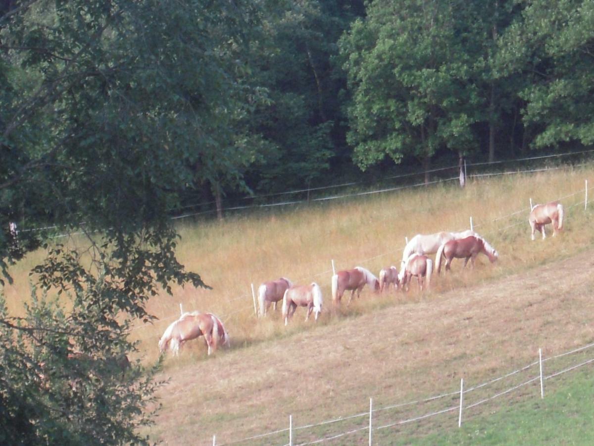 Vila Haflingerhof Luef Bad Schönau Exteriér fotografie