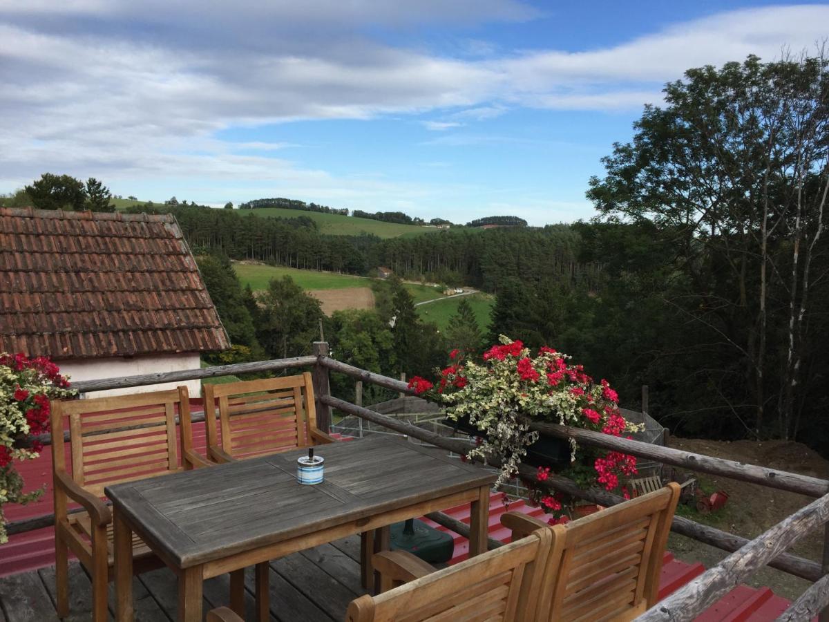 Vila Haflingerhof Luef Bad Schönau Exteriér fotografie
