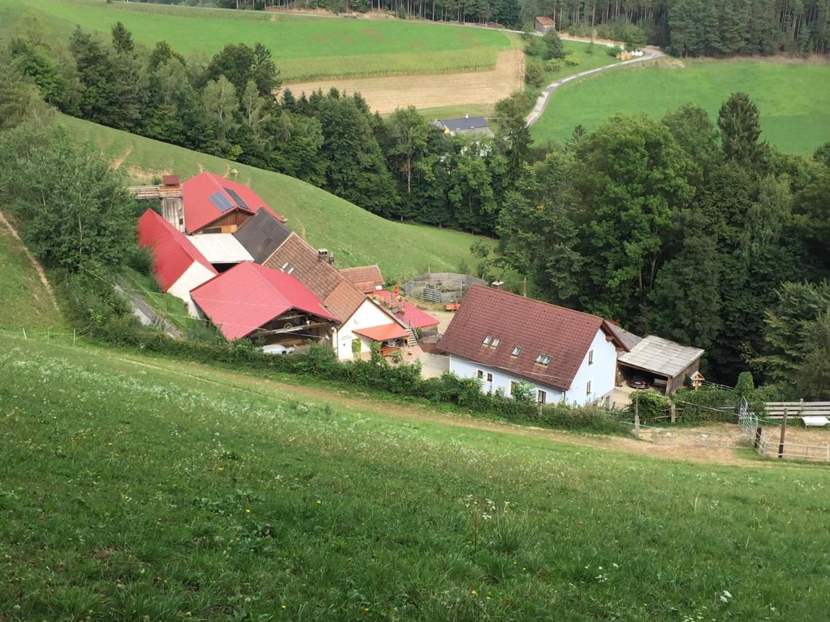 Vila Haflingerhof Luef Bad Schönau Exteriér fotografie