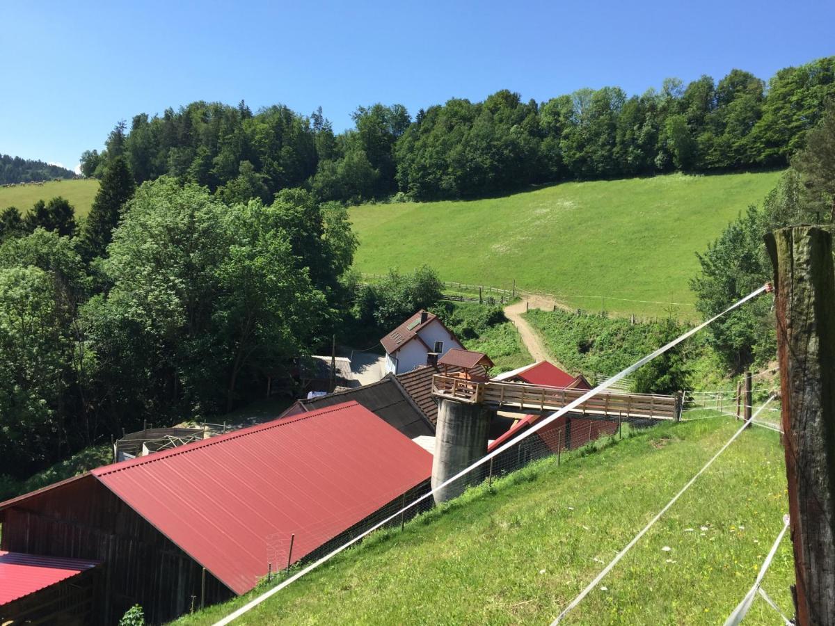 Vila Haflingerhof Luef Bad Schönau Exteriér fotografie