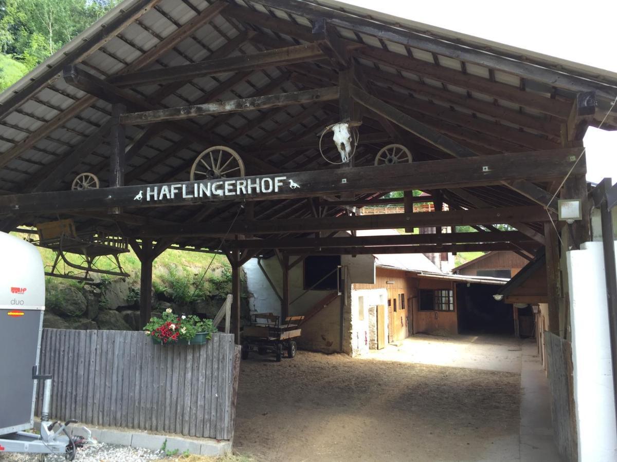 Vila Haflingerhof Luef Bad Schönau Exteriér fotografie