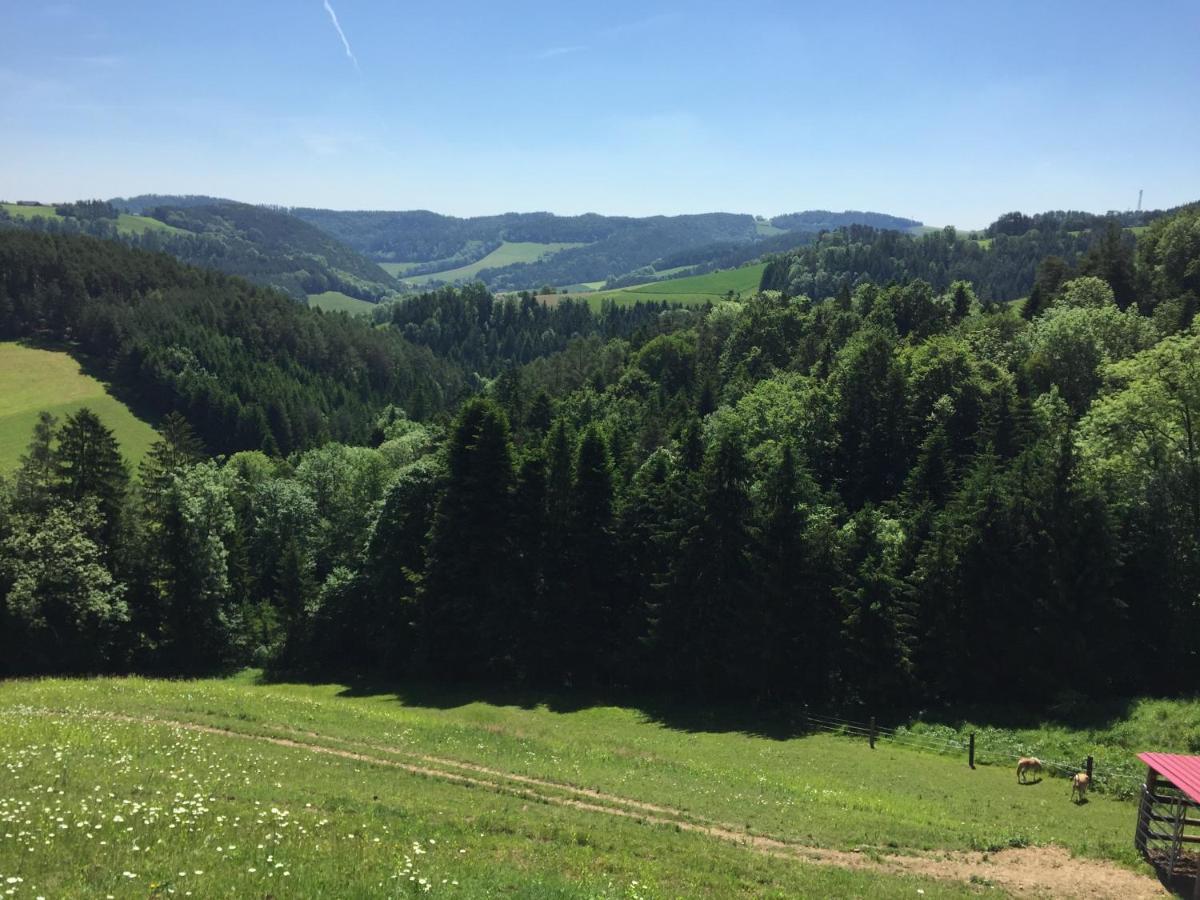 Vila Haflingerhof Luef Bad Schönau Exteriér fotografie