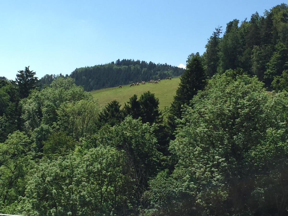 Vila Haflingerhof Luef Bad Schönau Exteriér fotografie